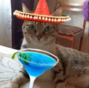 elmuchacho