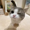 wink