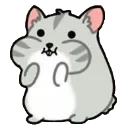 hamster2 hamster2