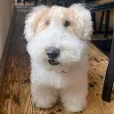 12635549287738245441