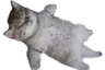 DeadKitty
