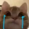 sobcat sobcat