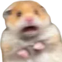 Hamscare