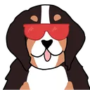 sunglassesluna