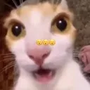 emoji_9