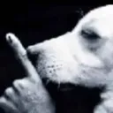 shh