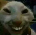 lol