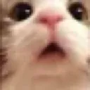 ooo ooo