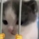JAILED