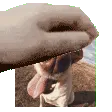 riderpat2