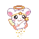 magicfairyhamster magicfairyhamster