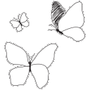 :tnc_flowers: