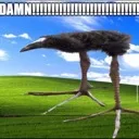 DAMN
