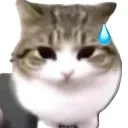 posa