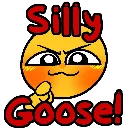 sillygoose sillygoose