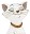 happycat