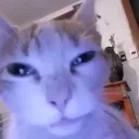 emoji_24