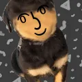 lenpup