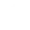 LogoTZTblanc