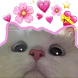 KittyLove