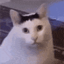 s_HUH animated emote - Unsupervised Adults ¹⁸⁺