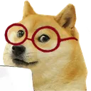 smartdoge