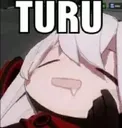 turu