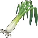 Leek