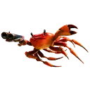 crabchamp