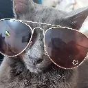 gizmo