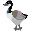 canada_goose