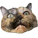 SaffWoah