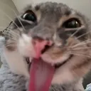 freakybilly
