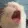 AAAAAAAH