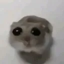 emoji_13 emoji_13