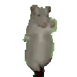 RatDance