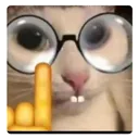 nerdcat