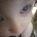crr_baby