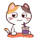 Lost__juice_pi_rha