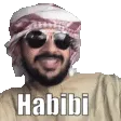 Lost_Habibi