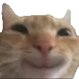 HappyCat