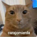 LcoComoJodesKilar Discord emoji