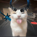 :emoji_244: