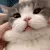 squish