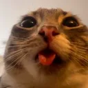 eepy eepy
