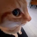 sideeye sideeye