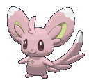 minccino