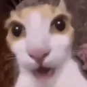 noway