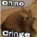cringe_cat