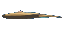 ustunfisk